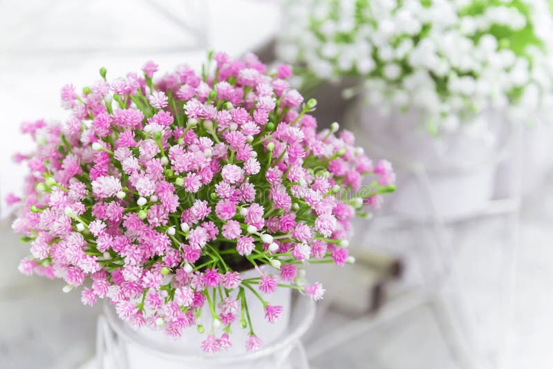 Elements and details of garden and home decor and interior. Artificial plants small flowers of pink color on a light background stock image Elements and details of garden and home decor and interior. Artificial plants small flowers of pink color on a light background stock image