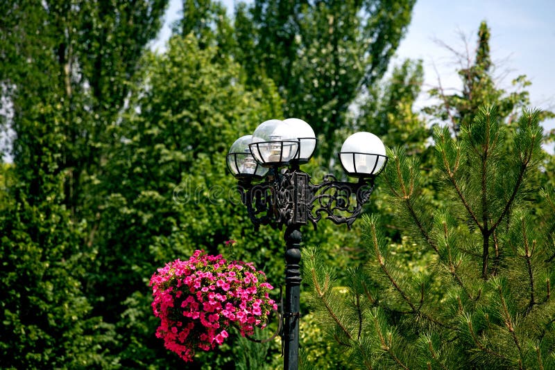 Iron Lamp Post with Flower Pot Stock Image Image of nature, casting