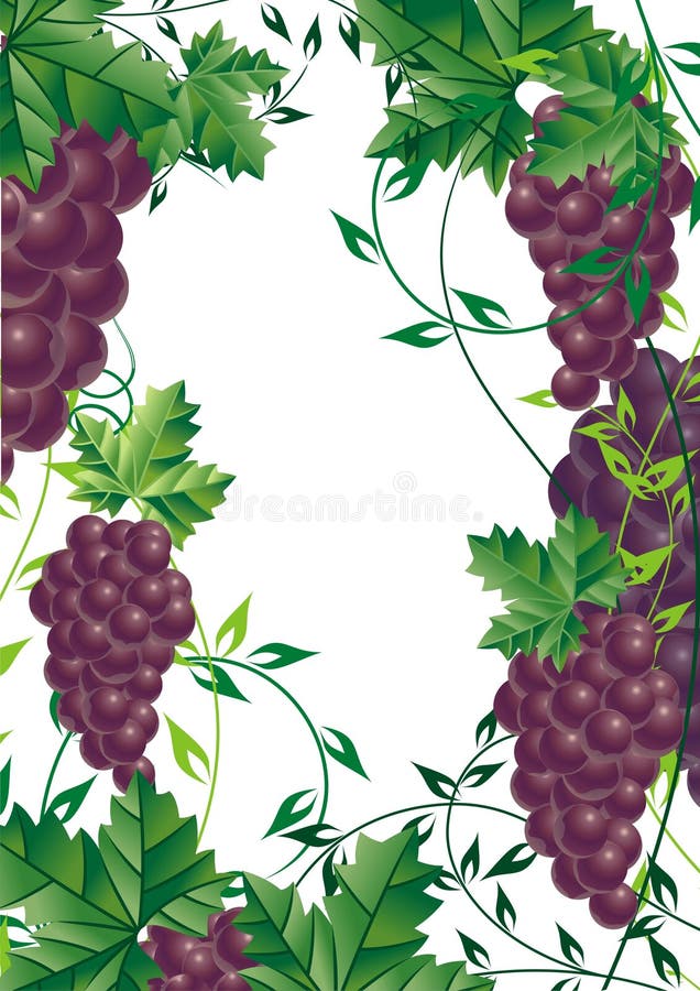 elementy projektu winorośli z winogron ilustracja wektor elementy projektu winorośli z winogron ilustracja wektor