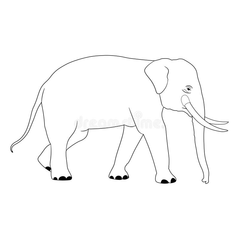 Walking Elephant Outline Stock Illustrations 574 Walking Elephant Outline Stock Illustrations Vectors Clipart Dreamstime Walking Elephant Outline Stock Illustrations 574 Walking Elephant Outline Stock Illustrations Vectors Clipart Dreamstime