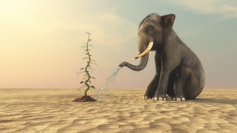 Elephant with a beanstalk