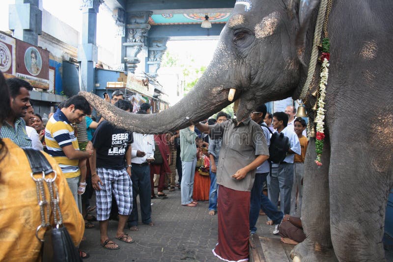 Elephant Blessing Devotees in Ganesha Temple