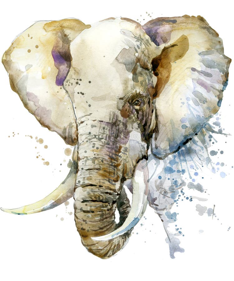 Elephant. Elephant illustration watercolor royalty free illustration