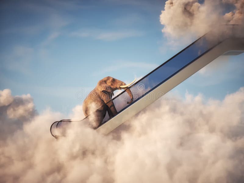 Elephant on escalator above clouds