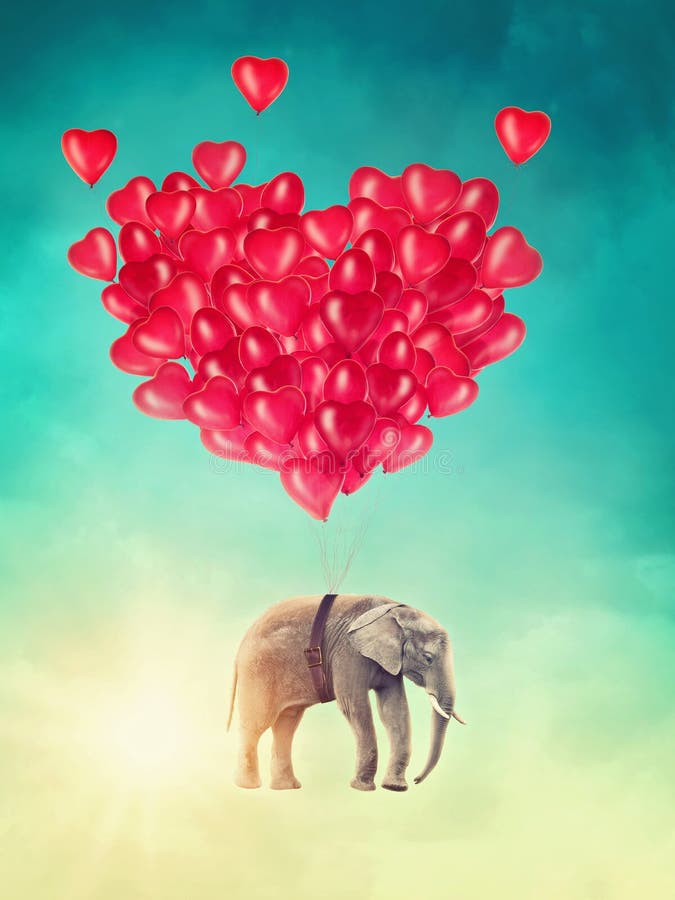Elephant flying with balloons royalty free stock photo Elephant flying with balloons royalty free stock photo