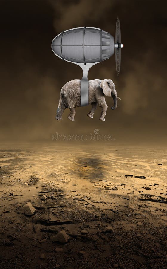 Elephant Flying on Colorful Balloons Stock Photo Image of lifted