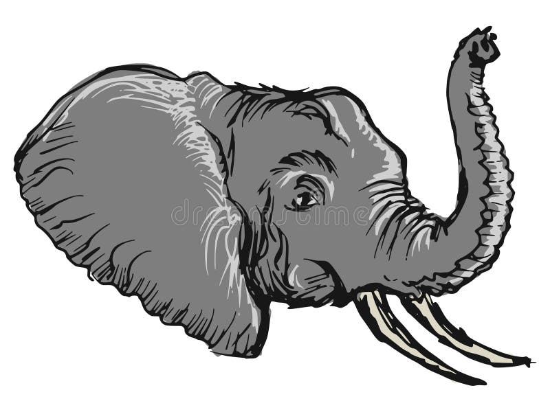 elephant sketch elephant sketch
