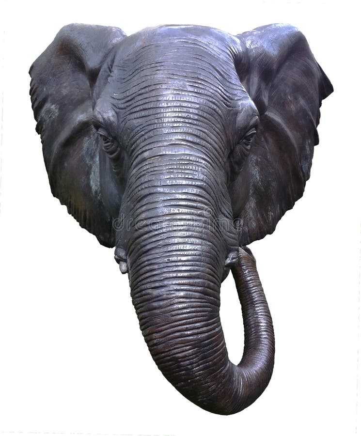 Elephant head