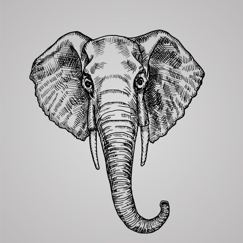 Learn how easy to draw a Baby Elephant - EASY TO DRAW EVERYTHING