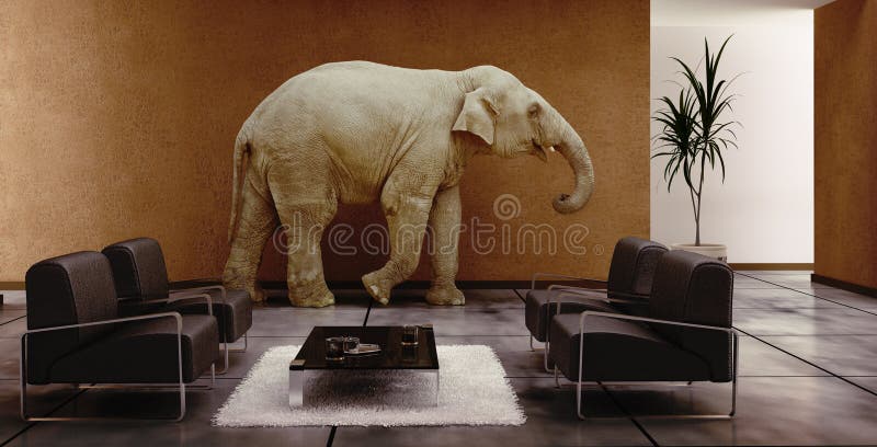 Elephant indoor