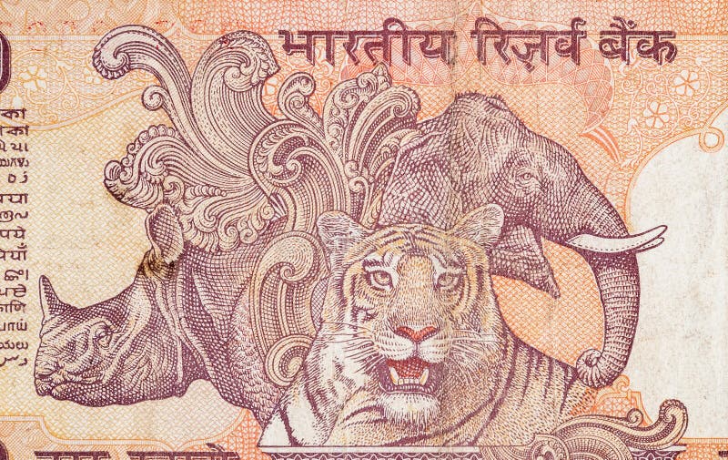 Elephant Rhinoceros and Tiger Depicted on Indian Bank Note Ten Rupees. 10  Rupee National Currency of India INR Stock Photo - Image of finance,  pattern: 169586432