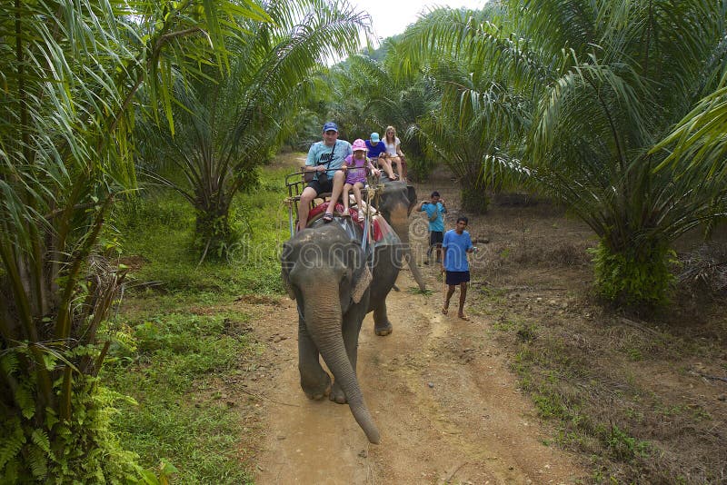Elephant ride in Thailand editorial stock image. Image of trek 84943489