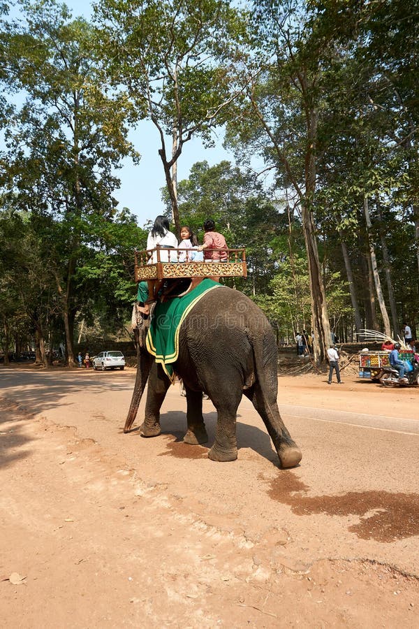siem reap elephant tour