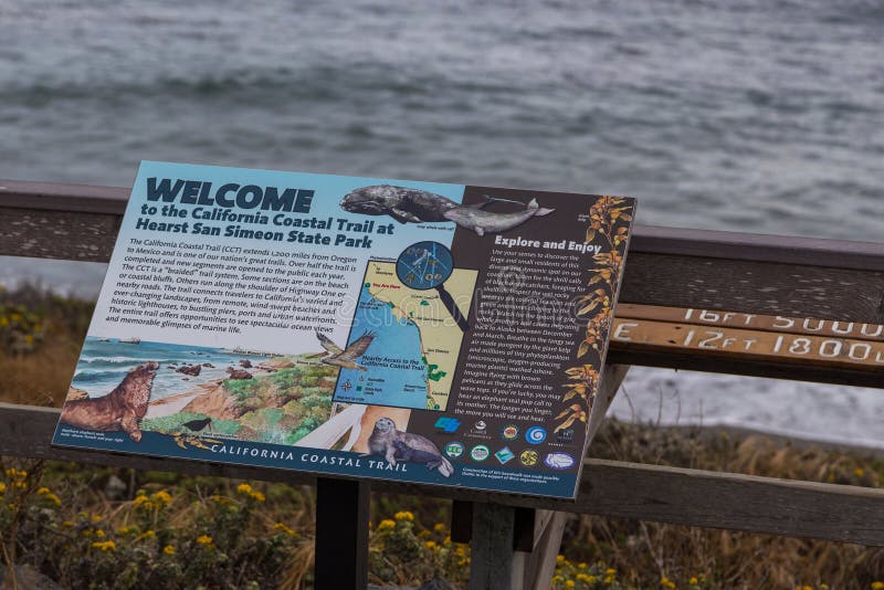 Elephant Seals on the beach, Pacific Ocean stock photos