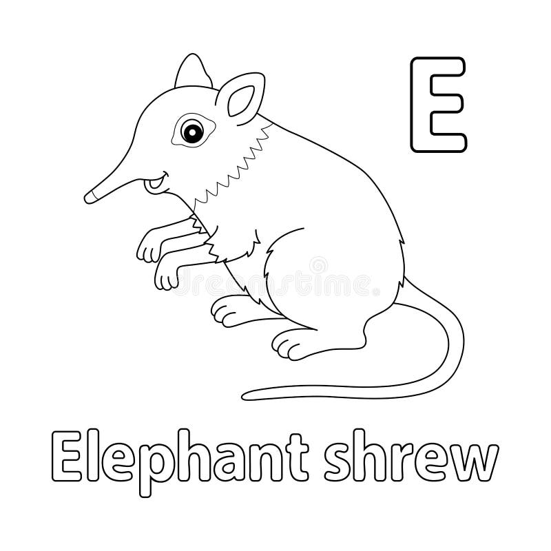 Elephant Shrew Alphabet ABC Isolated Coloring E Stock Vector