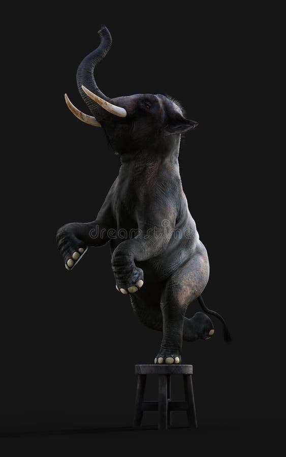 Elephant Standing One Leg Stock Illustrations 13 Elephant Standing