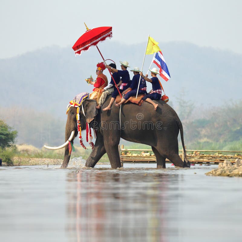 Elephant Sukhothai