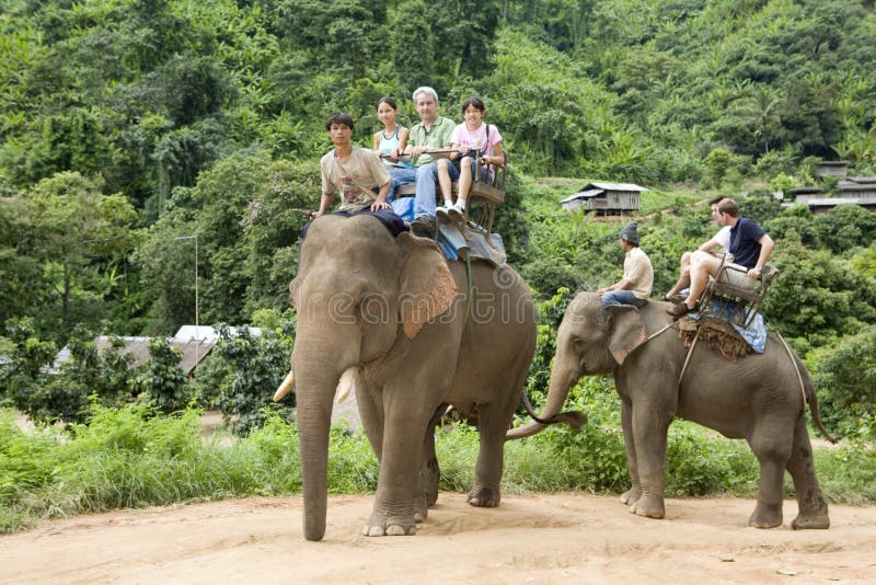 Elephant trekking