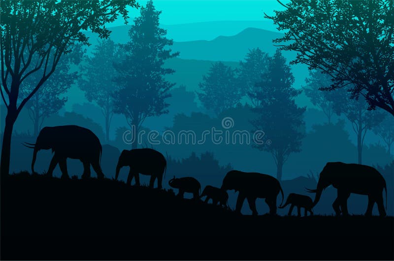 The Elephants in the Forest Natural Jungle Green Mountains Horizon Trees  Landscape Wallpaper Sunrise Illustration Vector Style Stock Vector -  Illustration of evening, colorful: 162355874
