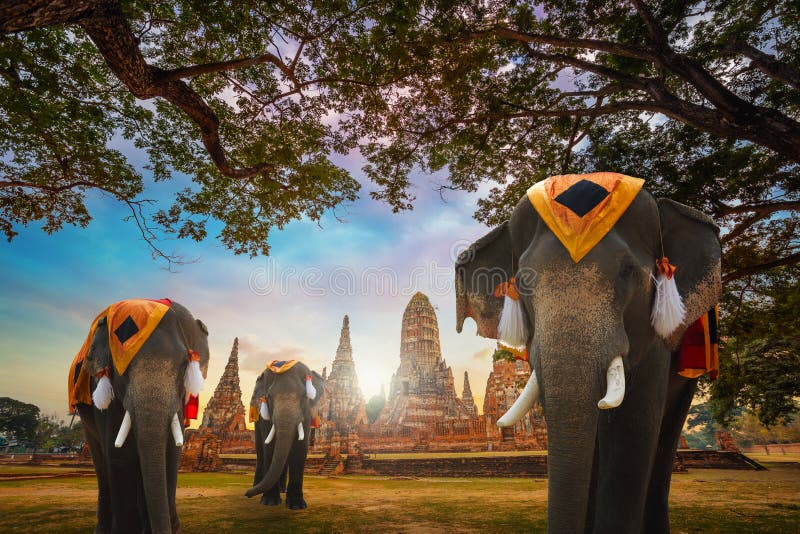 Elephants at Wat Chaiwatthanaram temple in Ayuthaya Historical Park, a UNESCO world heritage site, Thailand