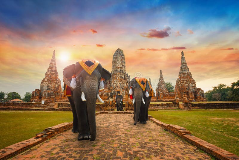 Elephants at Wat Chaiwatthanaram temple in Ayuthaya