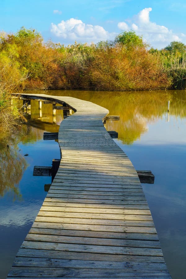 Elevated footpath over the water in En Afek nature reserve stock photo Elevated footpath over the water in En Afek nature reserve stock photo