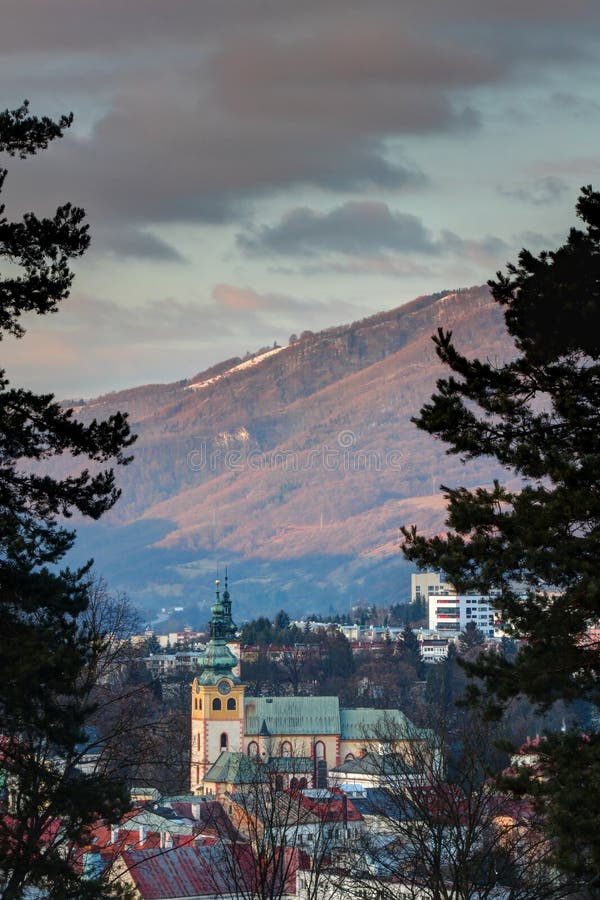 Výhľad na staré mesto Banská Bystrica medzi borovicami