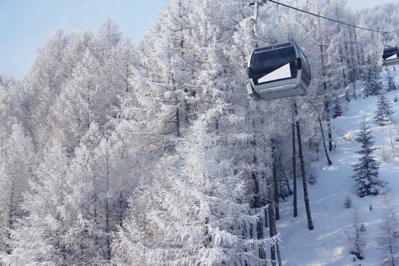 Elevatore di presidenza fra gli abeti in montagne di inverno immagine stock libera da diritti Elevatore di presidenza fra gli abeti in montagne di inverno immagine stock libera da diritti