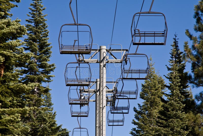 Idle lift chairs between row of evergreen trees. Idle lift chairs between row of evergreen trees