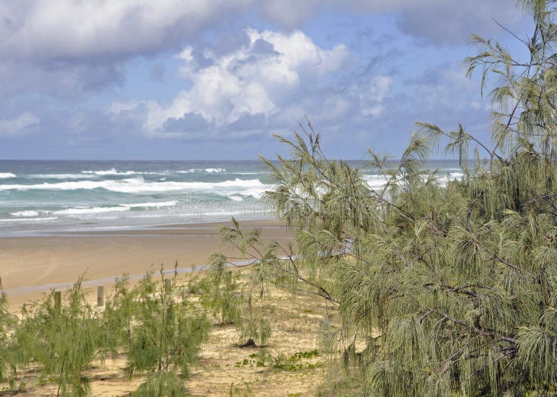 Eli Creek beach, Fraser Island