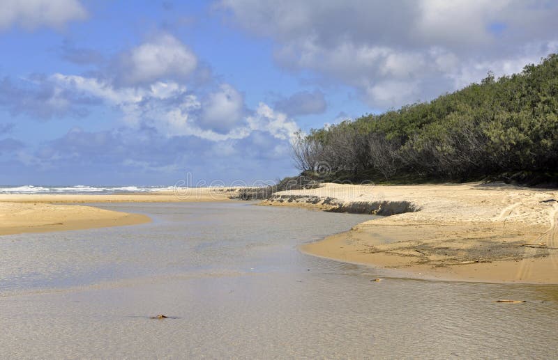 Eli Creek beach, Fraser Island