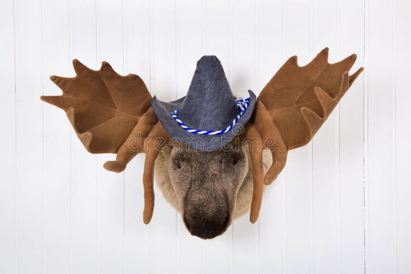 Elk head with antlers and a white felt bavarian hat with blue white ribbon hanging on a white wall.