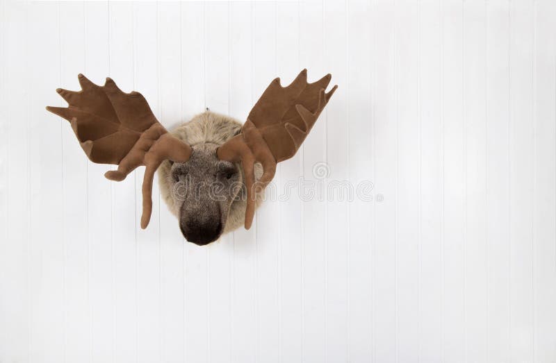 Elk of plush hanging on a white wooden wall for decoration.