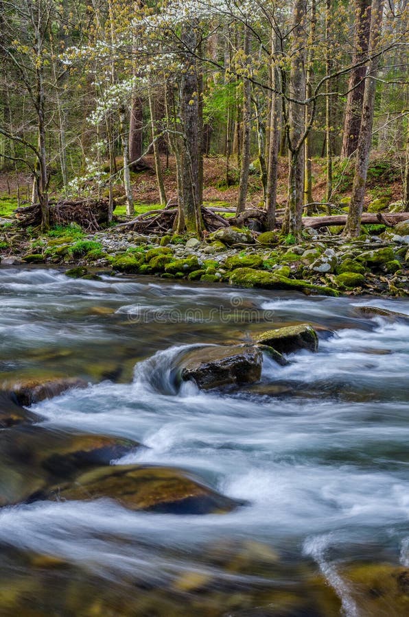 Elkmont River, Great Smoky Mountains