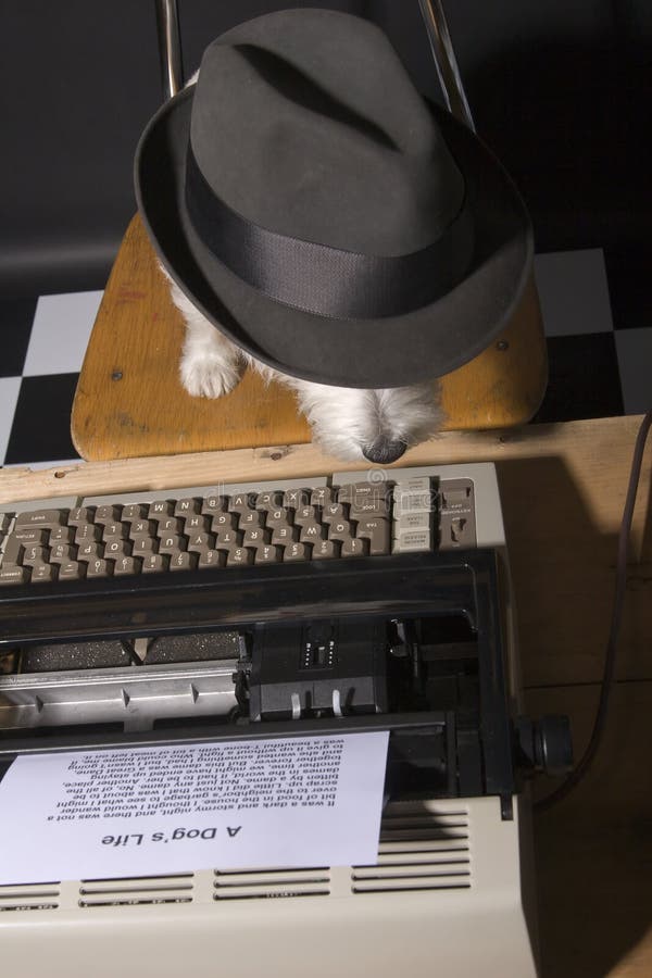 West Highland Terrier wearing a man's hat sitting on a chair in front of a typewriter. West Highland Terrier wearing a man's hat sitting on a chair in front of a typewriter