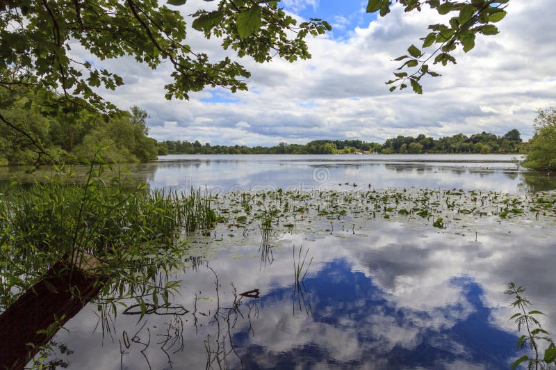 Ellesmere jezioro obrazy stock Ellesmere jezioro obrazy stock