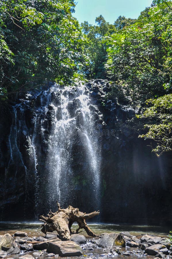 Ellinjaa Falls in Atherton Tablelands, Australia Stock Photo Image of