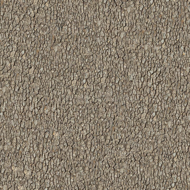 Elm Bark. Seamless Tileable Texture.