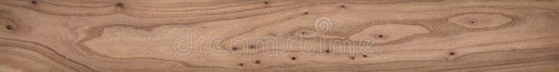 Elm long plank texture background. Old elm texture background.