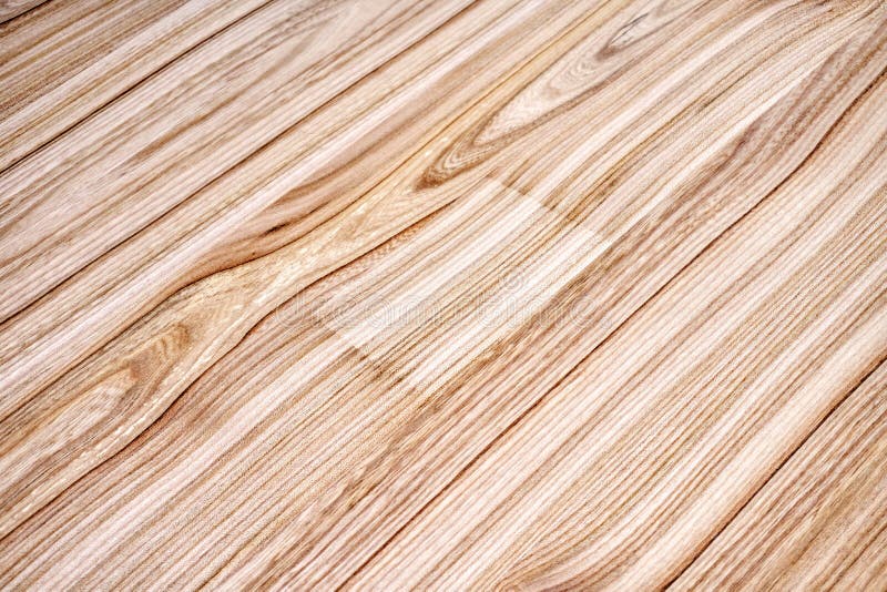 Elm Slab Texture. Live Edge Elm Countertop. Wood Texture Stock Photo