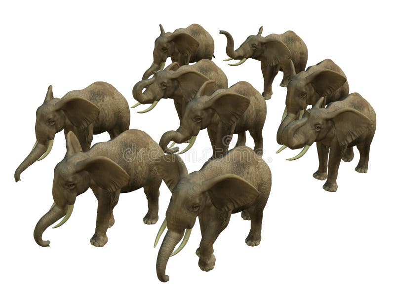 3D rendered isolated herd of walking elephant. 3D rendered isolated herd of walking elephant.