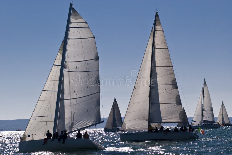 Sailboat race with multiple boats in backlight in a sunny day - strong wind during Barcolana regatta - (Trieste, Italy 2007). Sailboat race with multiple boats in backlight in a sunny day - strong wind during Barcolana regatta - (Trieste, Italy 2007)