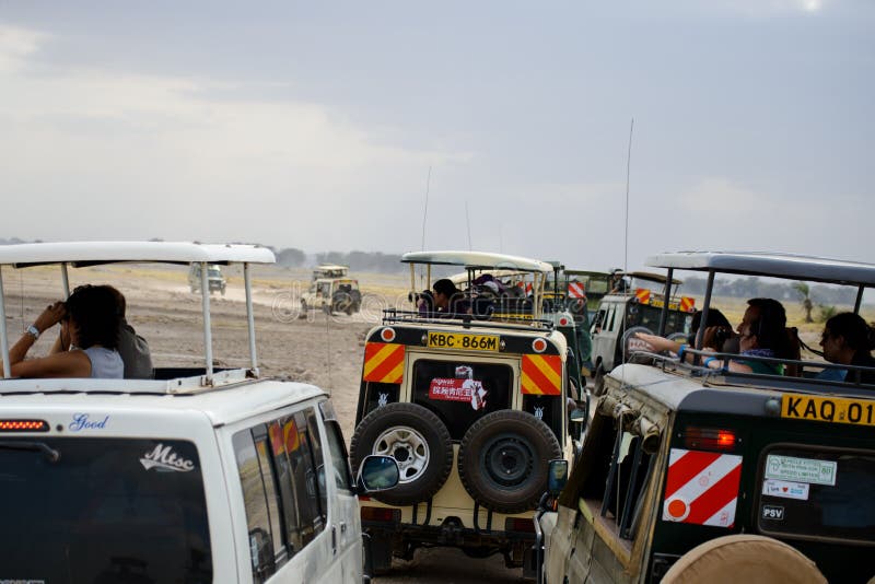 Embouteillage dans un safari images libres de droits Embouteillage dans un safari images libres de droits