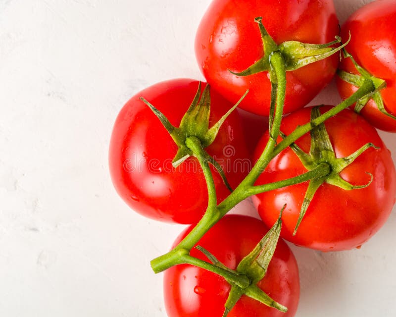 Embranchez-vous avec cinq tomates rouges mûres Gouttes de l'eau sur les fruits mûrs Feuilles et tronc de vert images stock Embranchez-vous avec cinq tomates rouges mûres Gouttes de l'eau sur les fruits mûrs Feuilles et tronc de vert images stock