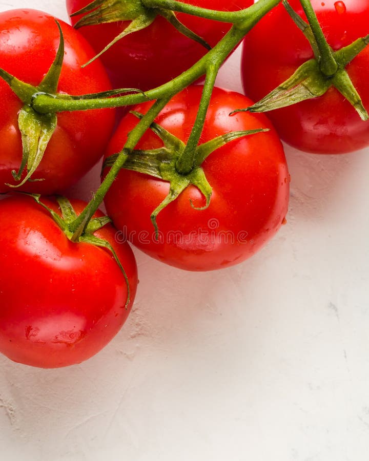 Embranchez-vous avec cinq tomates rouges mûres Gouttes de l'eau sur les fruits mûrs Feuilles et tronc de vert image libre de droits Embranchez-vous avec cinq tomates rouges mûres Gouttes de l'eau sur les fruits mûrs Feuilles et tronc de vert image libre de droits