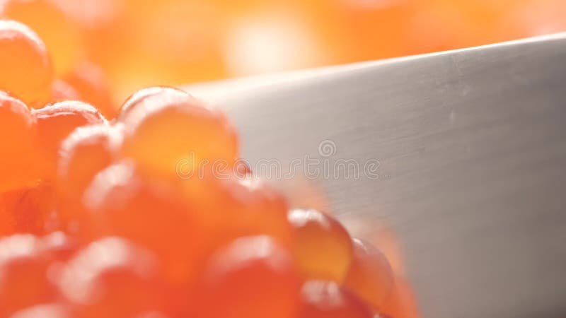 Embriões vermelhos dos peixes no caviar vermelho fresco da guloseima Vista macro