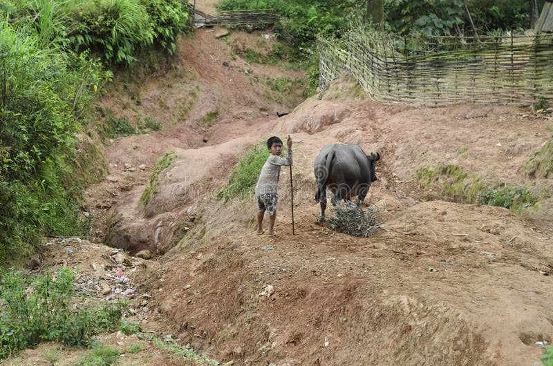 Embrome del búfalo negro de la gente y de agua de la minoría étnica de Hmong imagenes de archivo Embrome del búfalo negro de la gente y de agua de la minoría étnica de Hmong imagenes de archivo