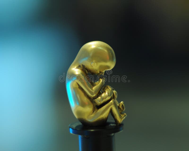 Embryo statue royalty free stock photography Embryo statue royalty free stock photography