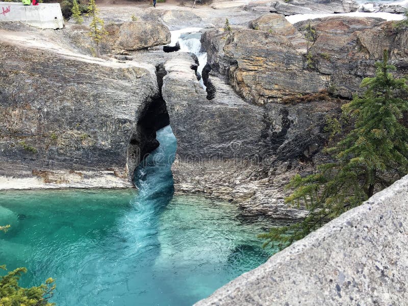 Emerald Lake Rock Crevice stock afbeelding Emerald Lake Rock Crevice stock afbeelding