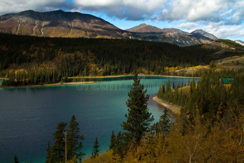 Emerald Lake Yukon territorier, Kanada royaltyfria bilder Emerald Lake Yukon territorier, Kanada royaltyfria bilder